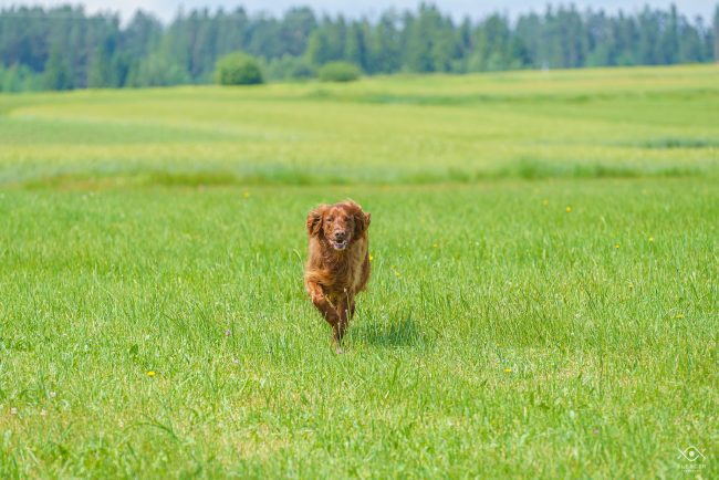 NATURA_220104_074054