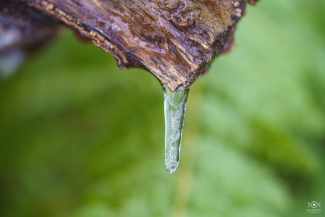 NATURA_220104_074602