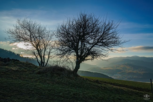 NATURA_220104_074708