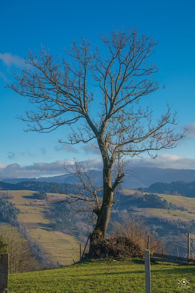 NATURA_220104_074726