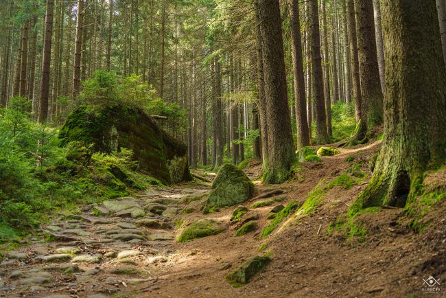 NATURA_220104_074813