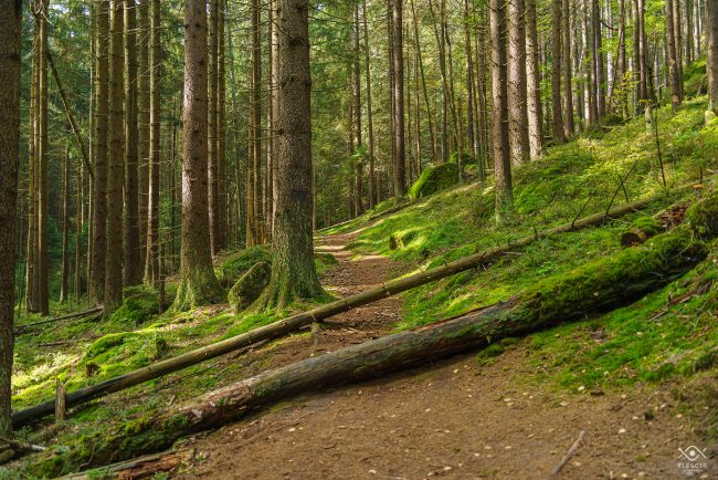 NATURA_220104_074827