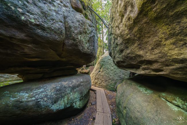 NATURA_220104_074905