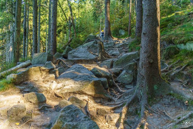 NATURA_220104_074921