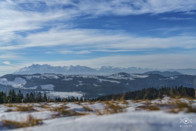 NATURA_220116_160122