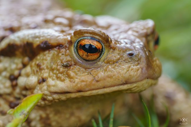 ZWIERZETA_220104_081440