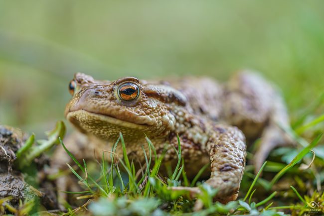 ZWIERZETA_220104_081456